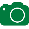 Wildlife Photography